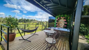 b3a02f_53aa1c4879c54ad8b08732175acf5b76~mv2